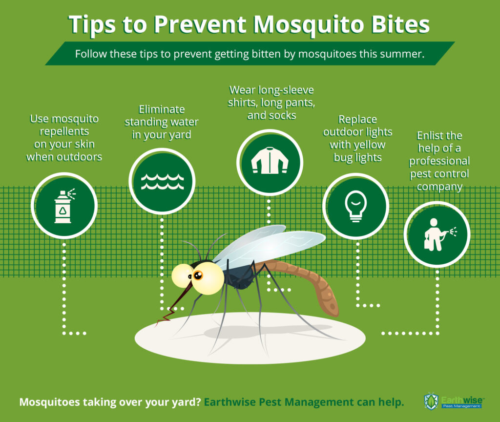 Pest Control Sacramento: Mosquito Control Tips